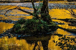 Golden river