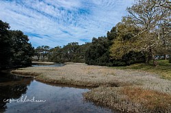 The river2