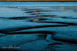 The low tide