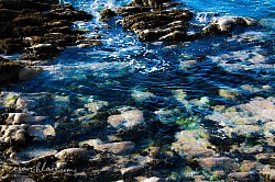 The rocks