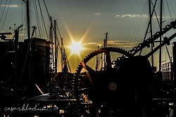 The gears